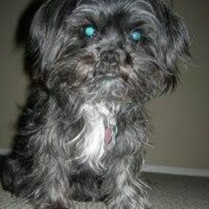 Meet your Posher, Bryan